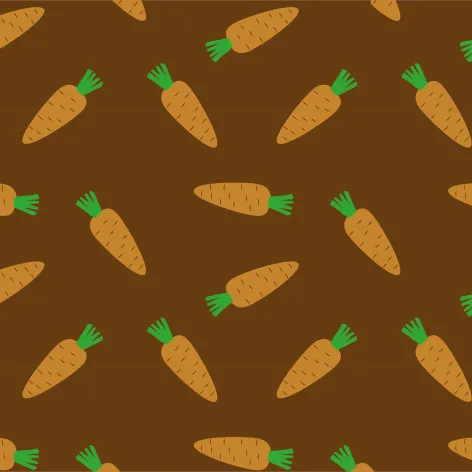 on milk.webp Transfer Sheets; Carrots - Bag of 30